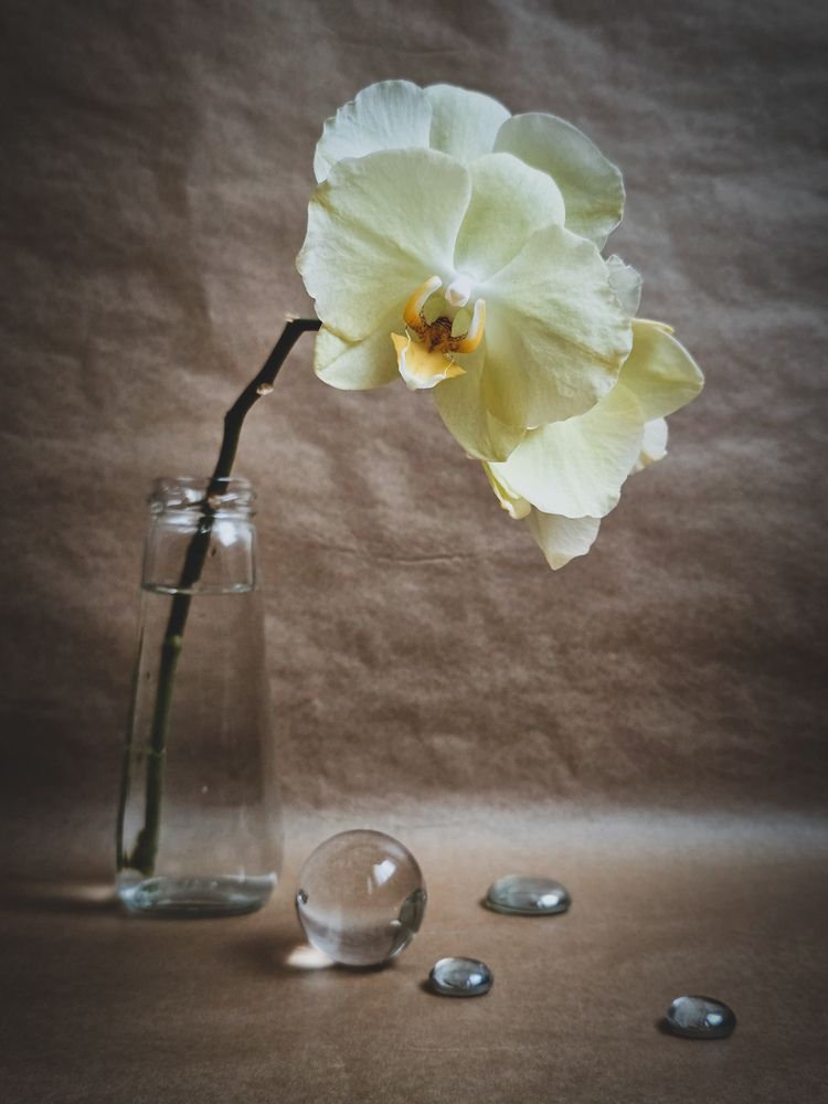 Photograph by Наталья Чурашова