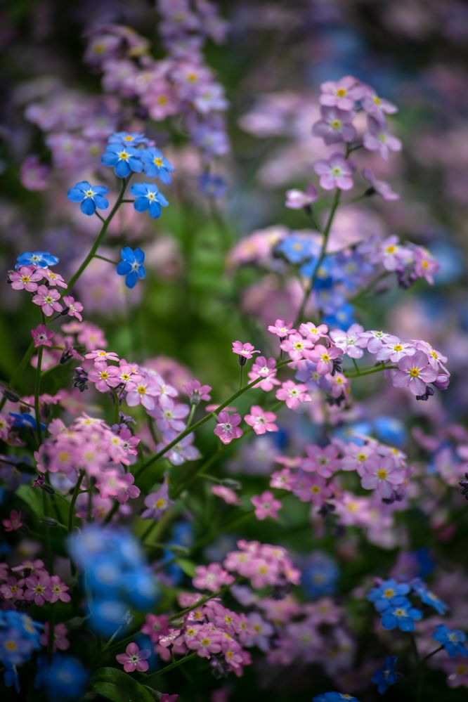 Photograph by Ольга Сафронова