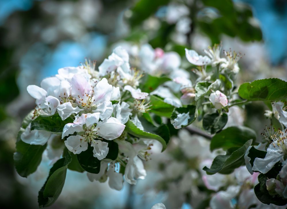 Photograph by Ольга Сафронова