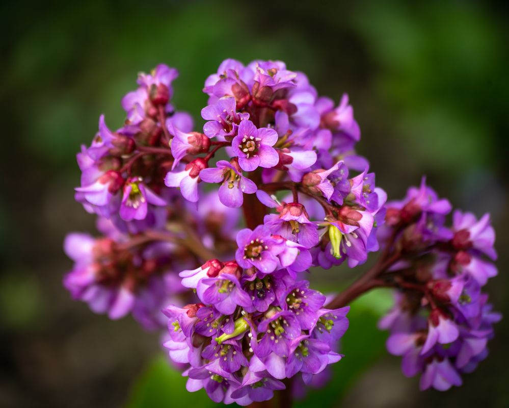 Photograph by Ольга Сафронова