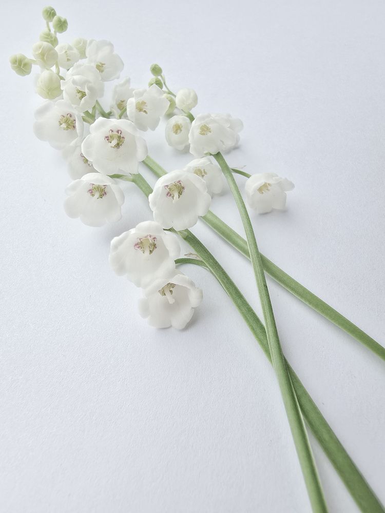 Photograph by Наталья Чурашова