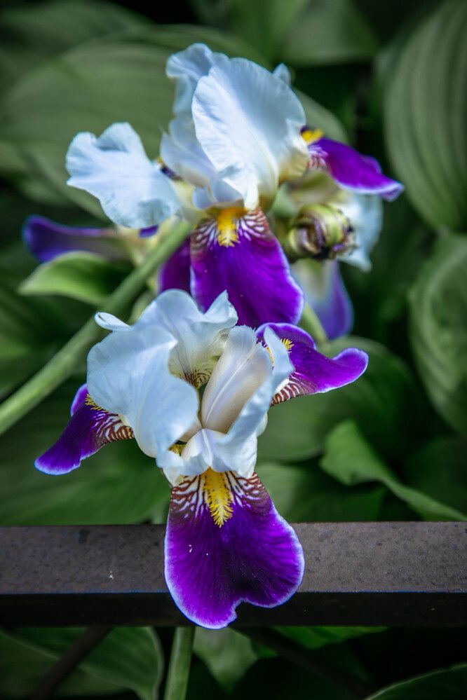 Photograph by Ольга Сафронова