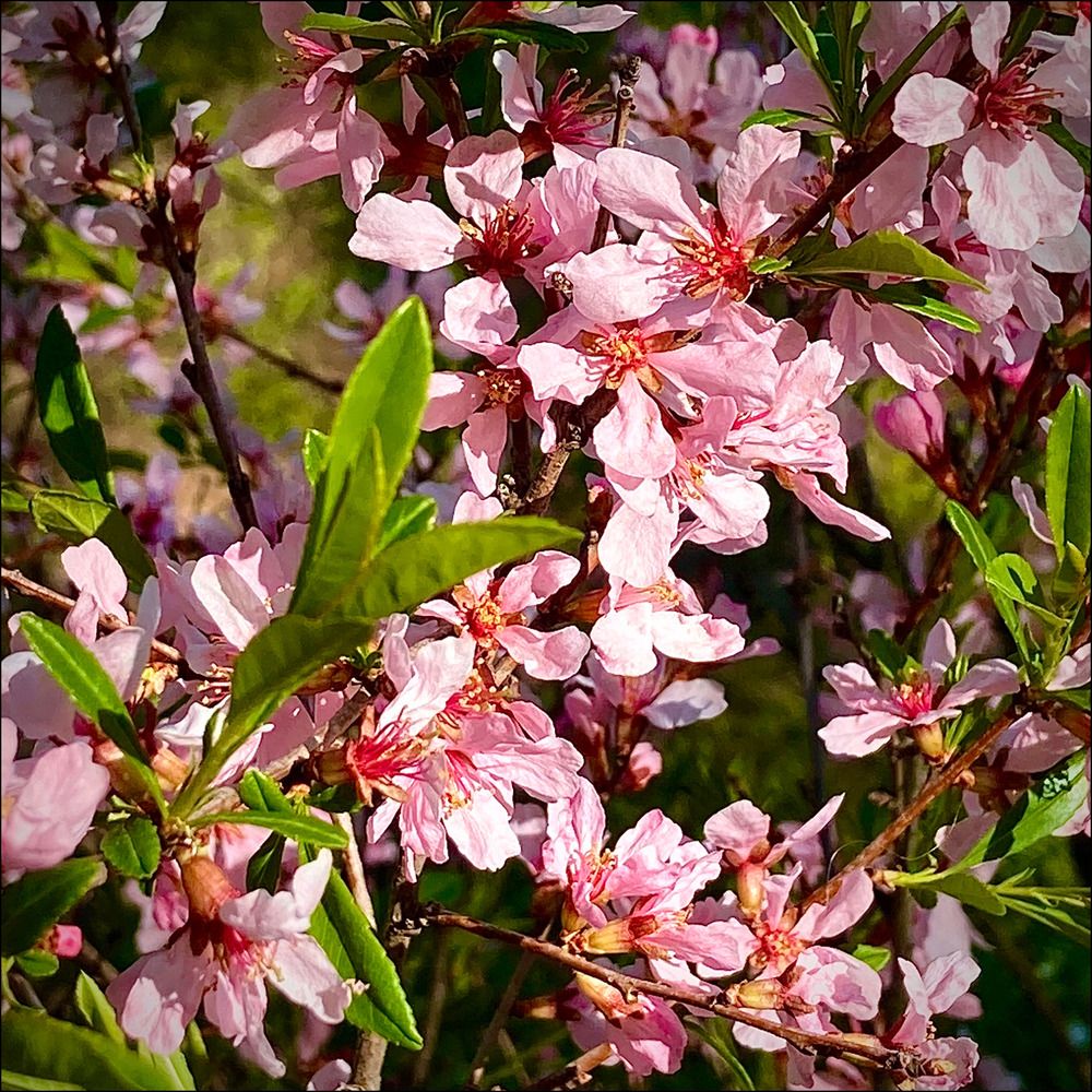 Фотография автора Сергей Демидов