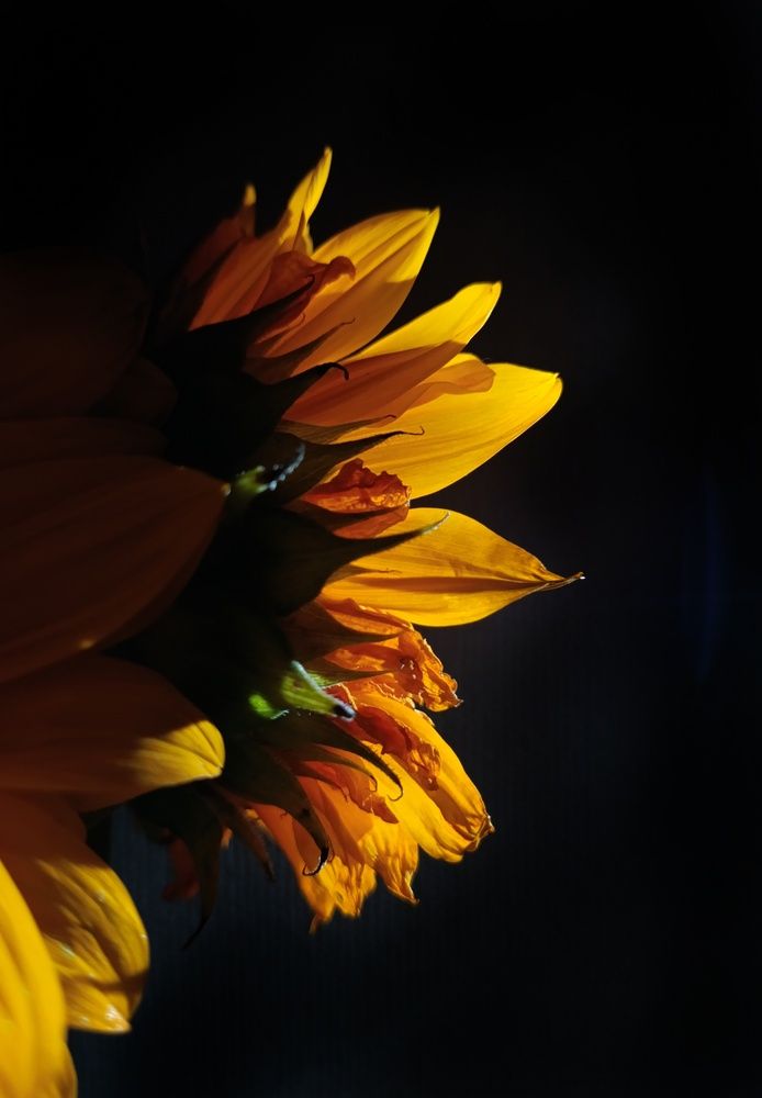 Photograph by Мазымова Елена