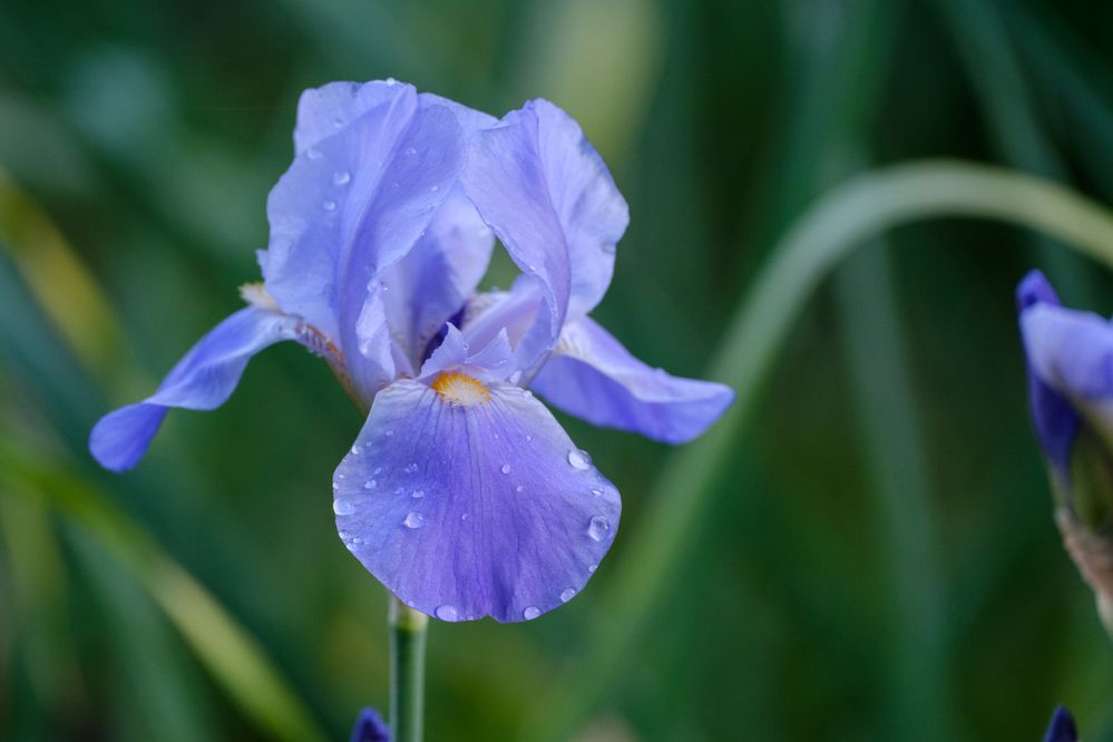 Photograph by Бодрягин Виталий