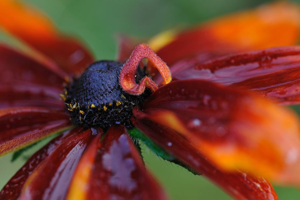 Photograph by Березкин Виктор