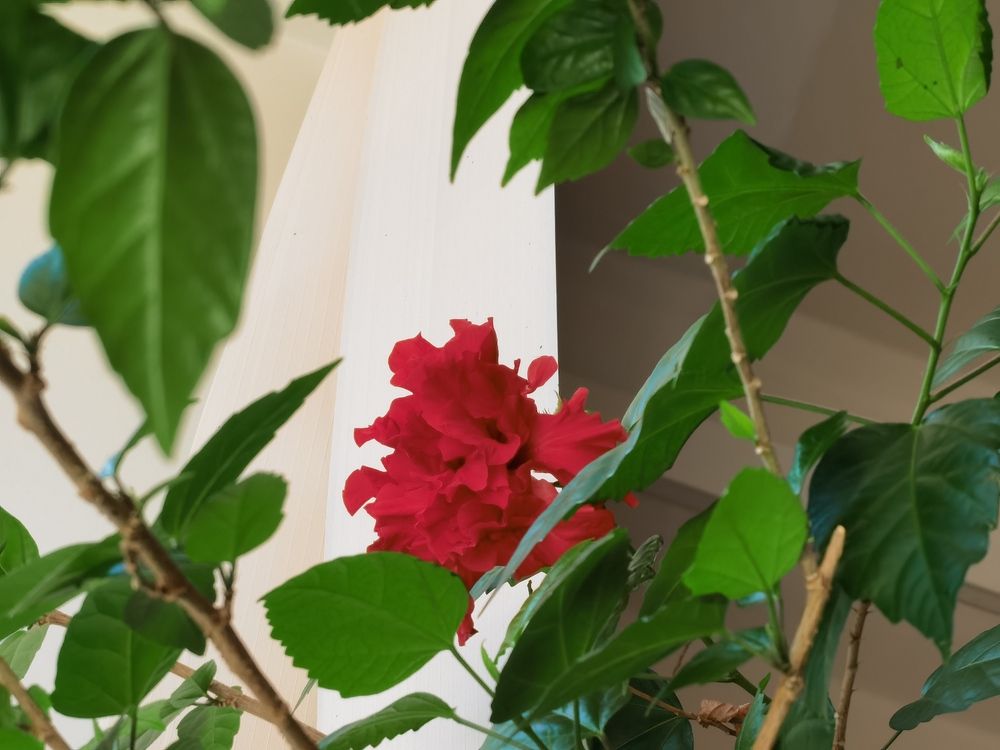 Photograph by Виталий Кореньков