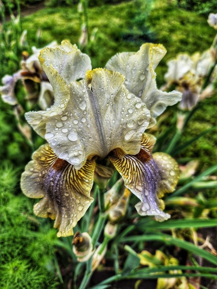 Photograph by Юлия Коробкова