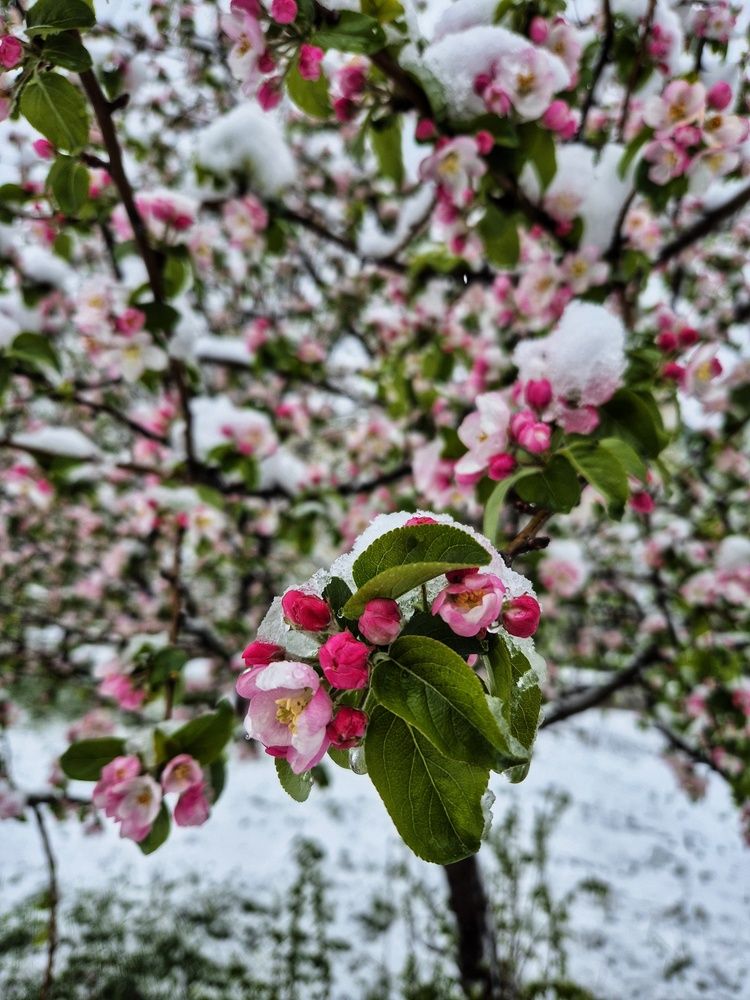 Photograph by Юлия Коробкова