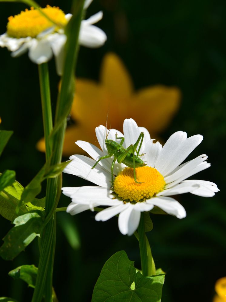 Photograph by Андрей Чуйков