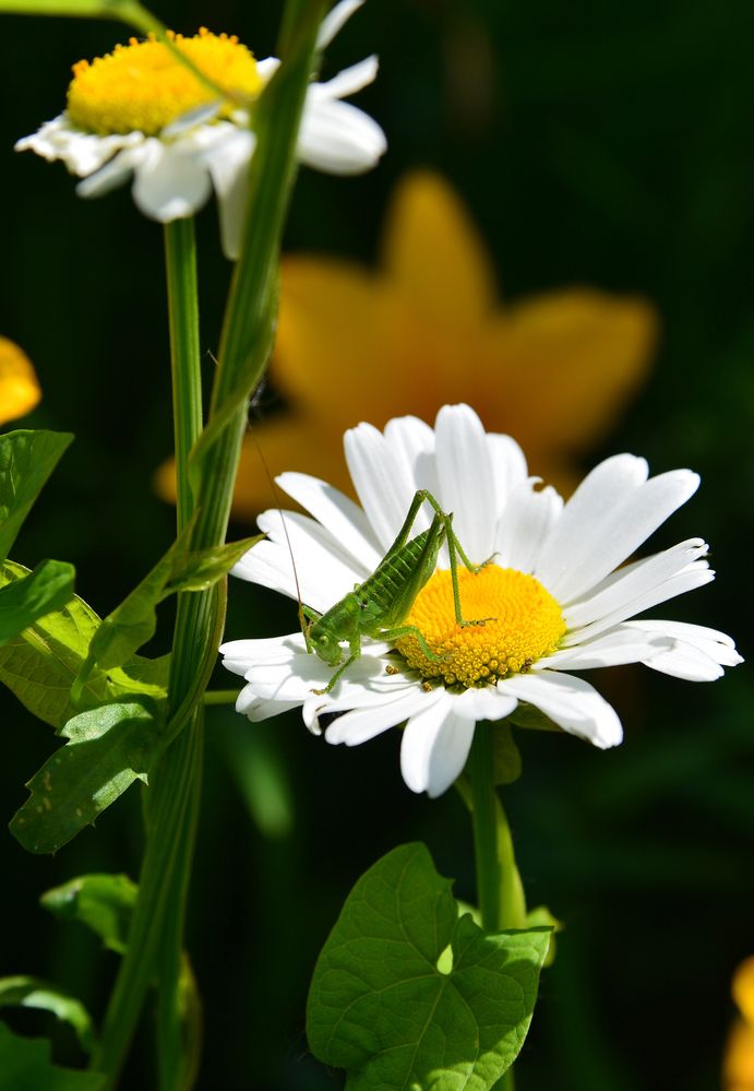 Photograph by Андрей Чуйков