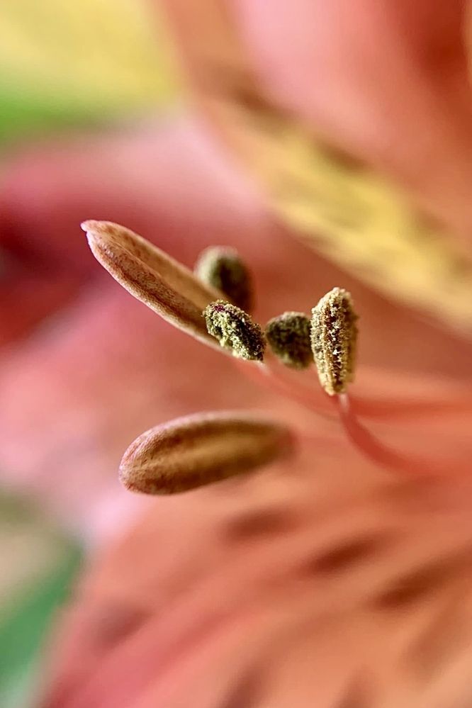 Photograph by Kátia Alves