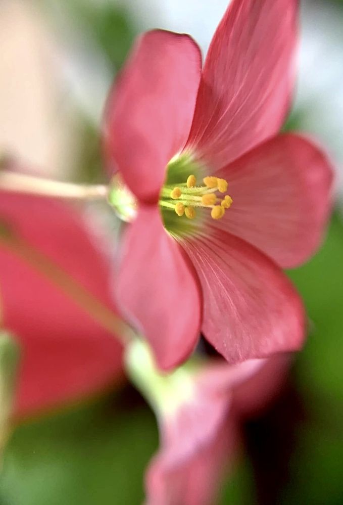 Photograph by Kátia Alves