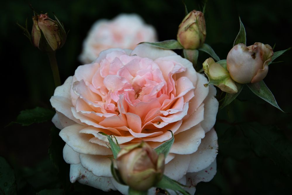 Photograph by Ксения Малютина