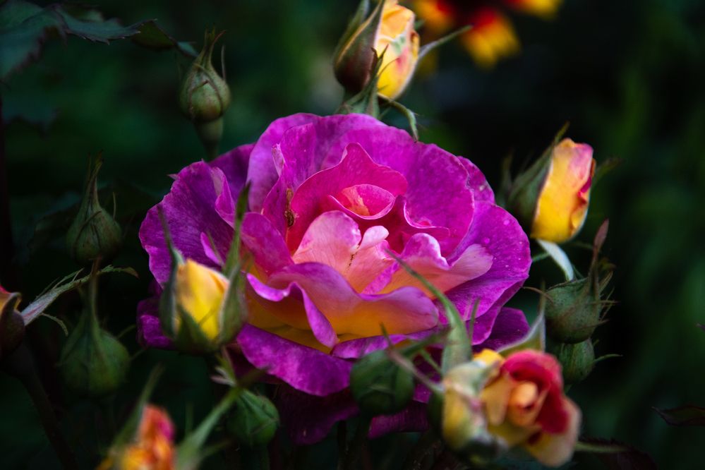 Photograph by Ксения Малютина