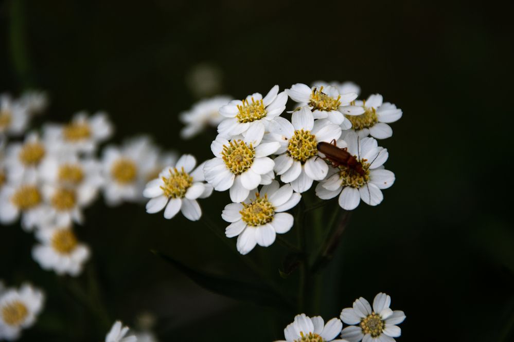 Photograph by Ксения Малютина