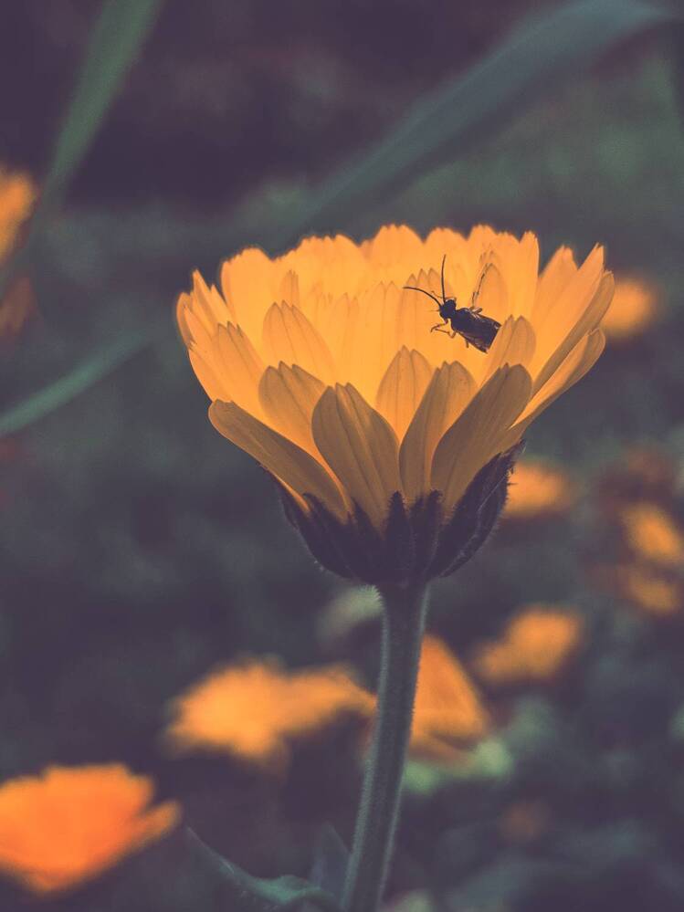 Photograph by Светлана Широкова