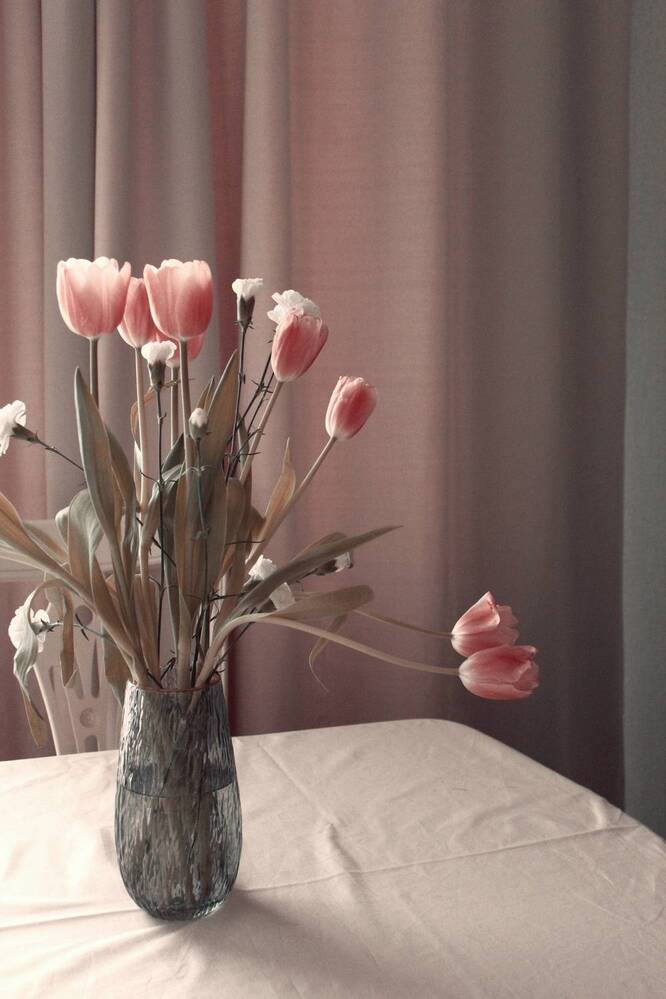 Photograph by Elizabeth Kabatskova