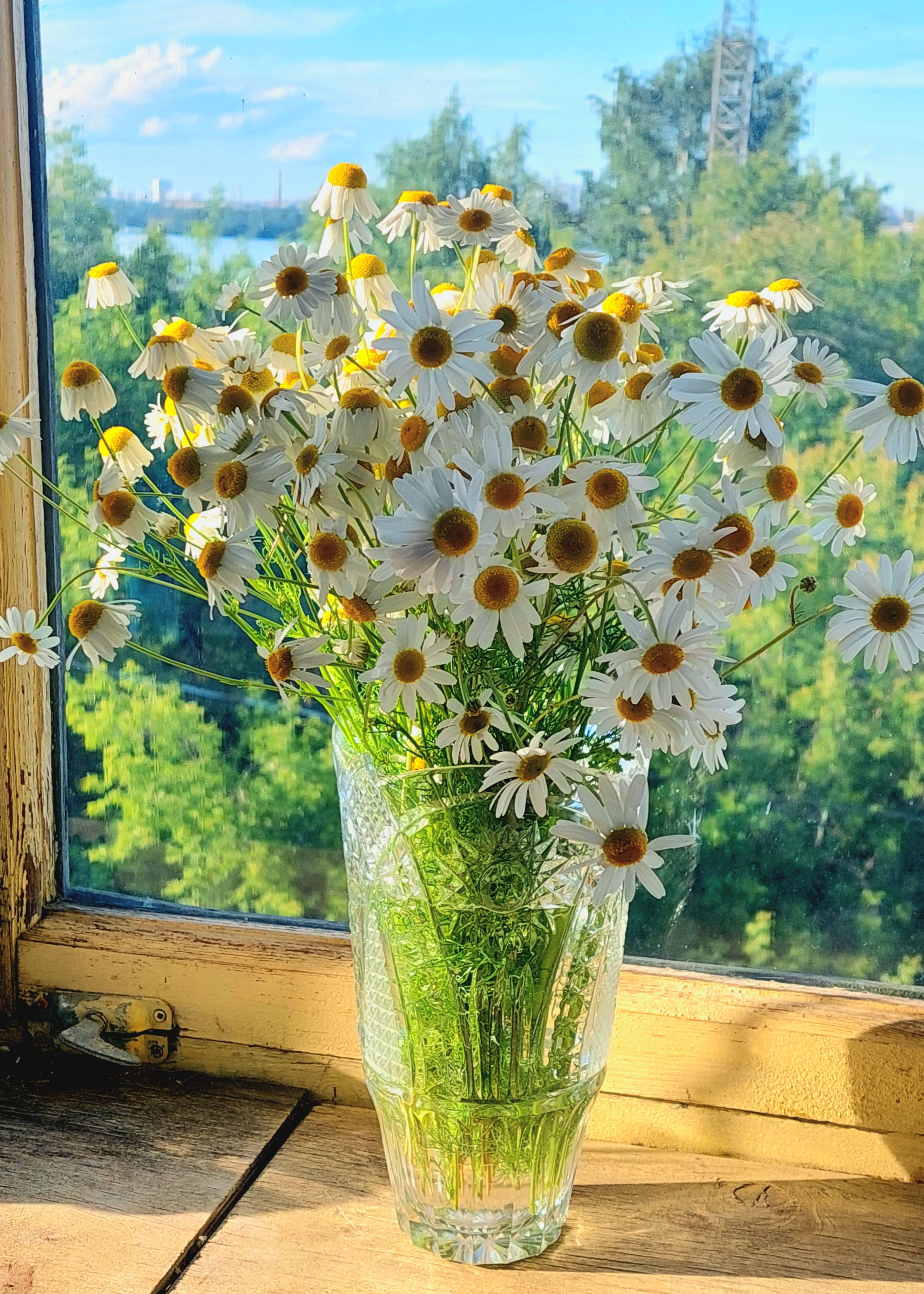 Фотография автора Анастасия Куликова