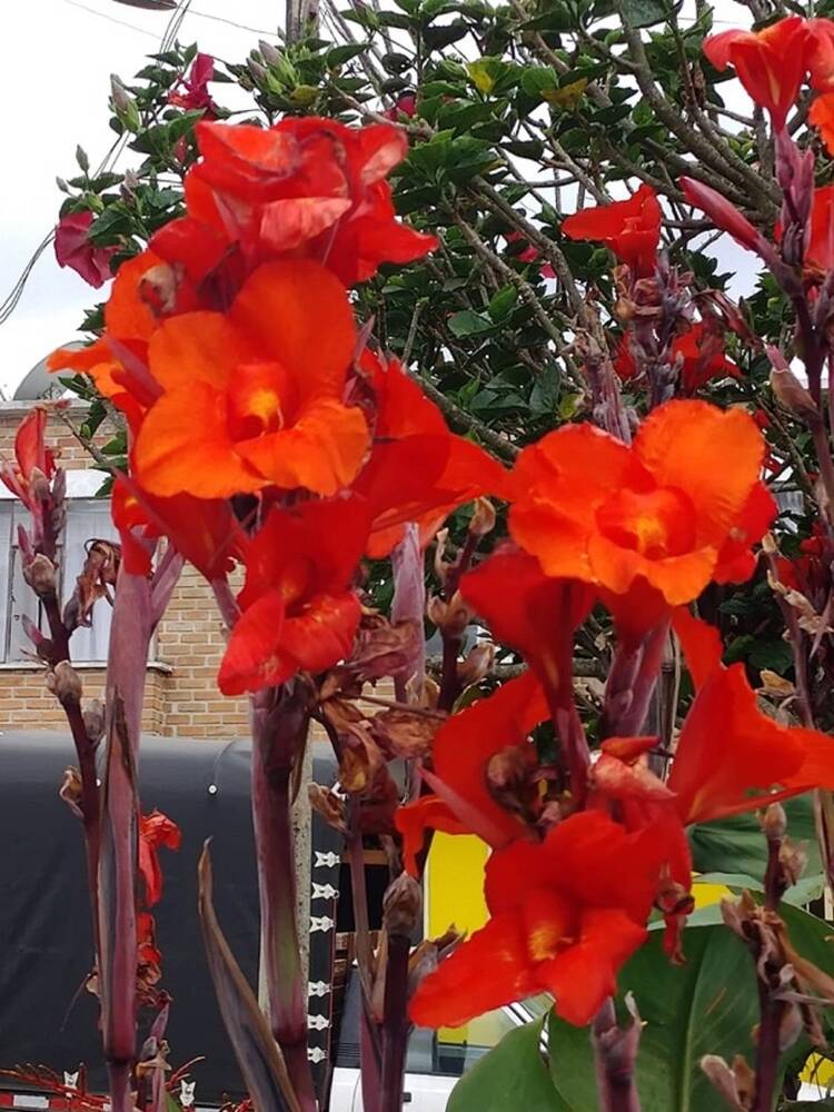 Photograph by Hector Euclides Cabrera Palacios