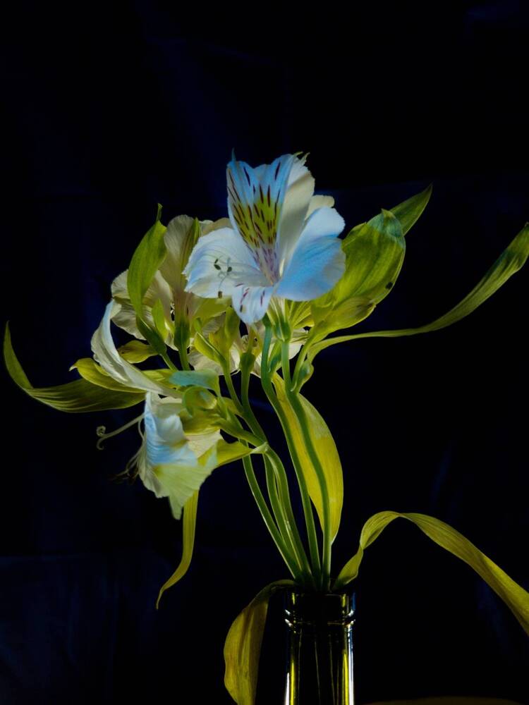 Photograph by Зоя Кулько