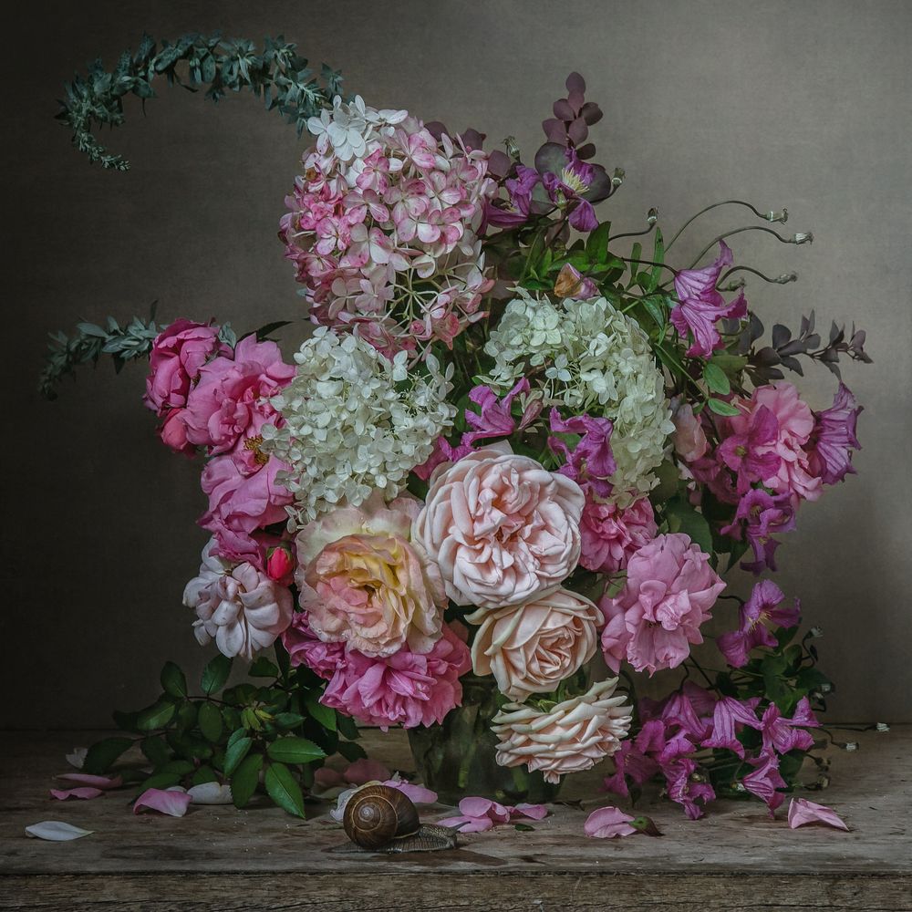 Photograph by Анна Петина