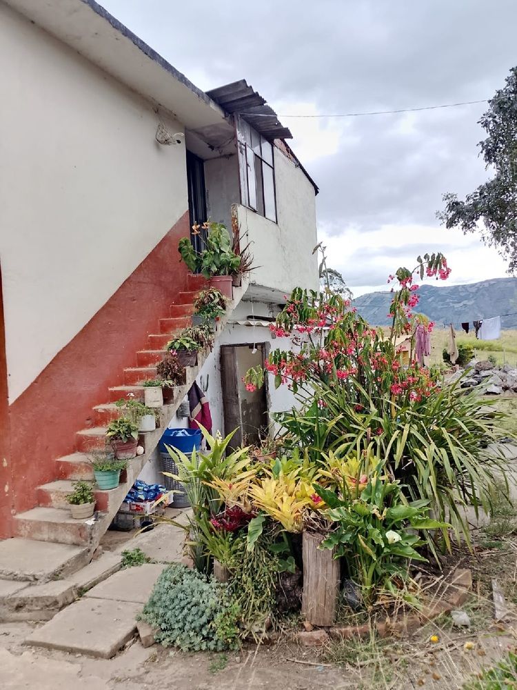 Photograph by Hector Euclides Cabrera Palacios