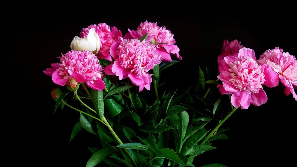 Photograph by Вячеслав