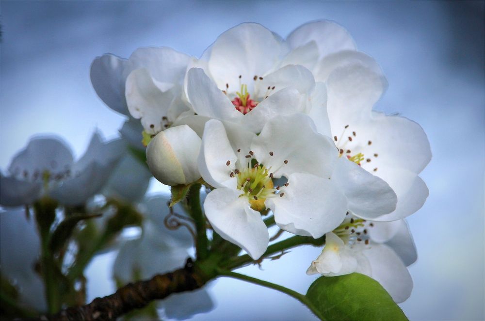 Фотография автора Ser P