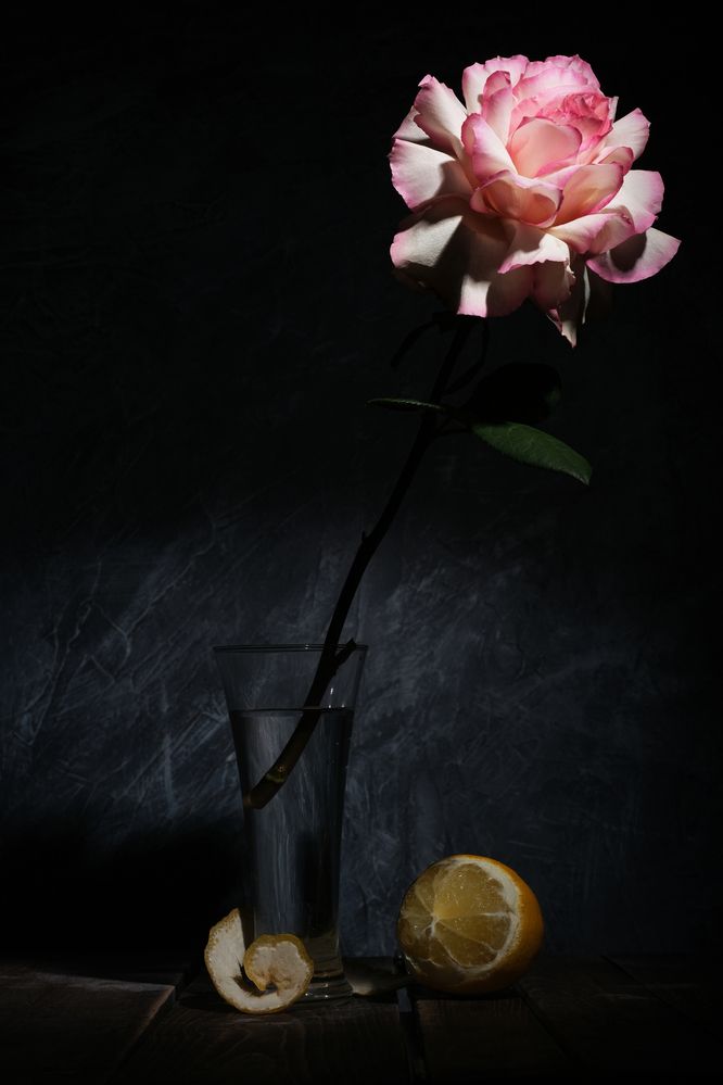 Photograph by Тим Мартынов