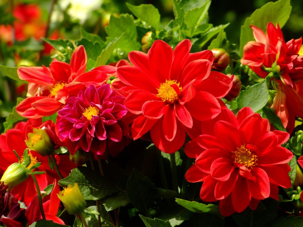 Photograph by Cengiz Yalcin