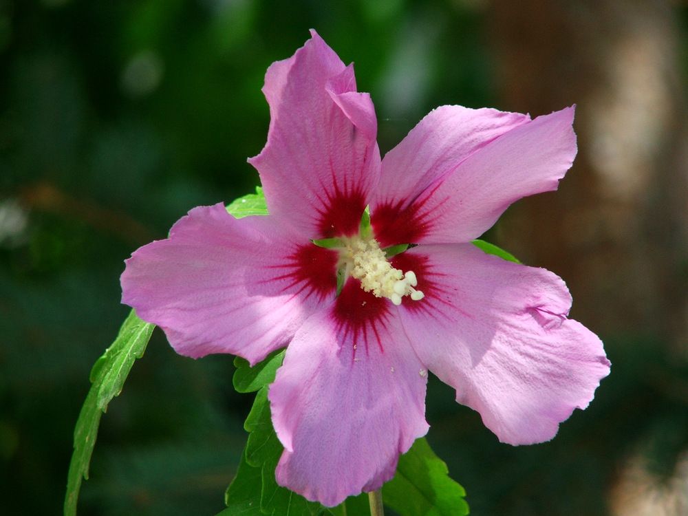 Photograph by Cengiz Yalcin