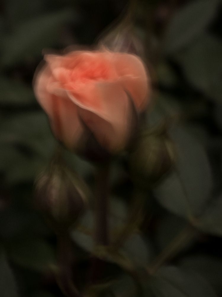 Photograph by Наталья Чурашова