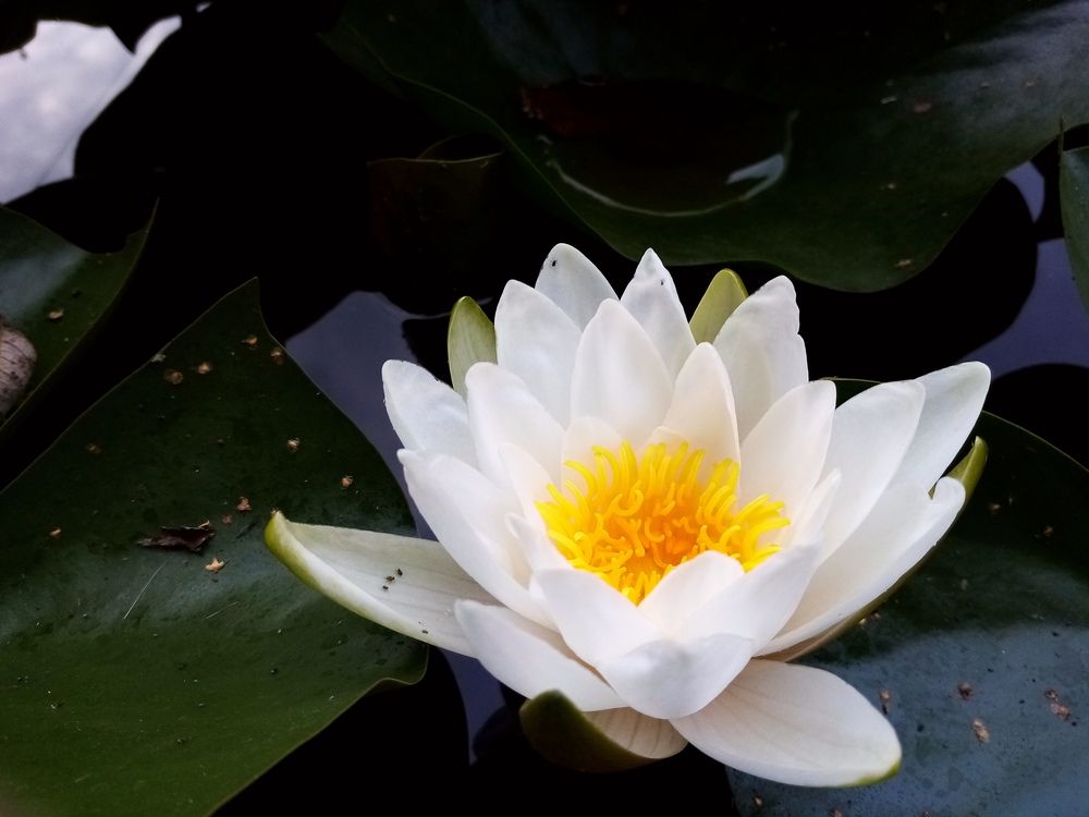 Фотография автора Наталья Визер