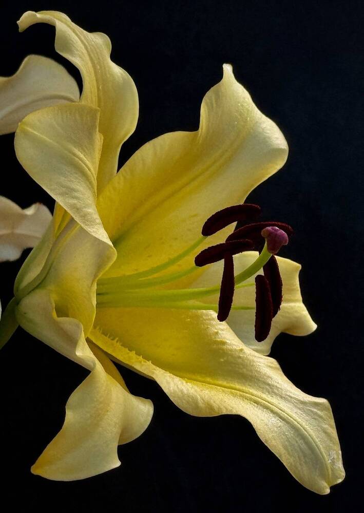 Фотография автора Evgeniya Ivanova