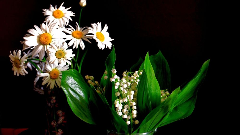 Photograph by Вячеслав