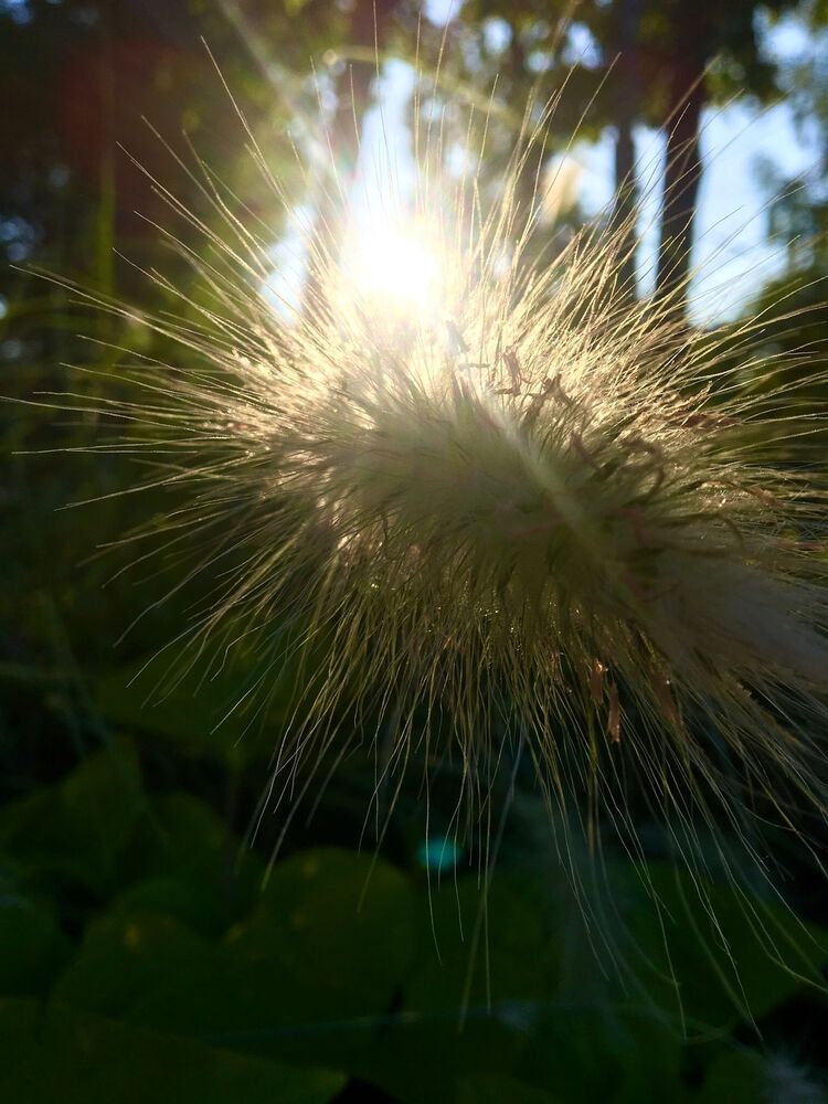 Photograph by Евгения Соловьева