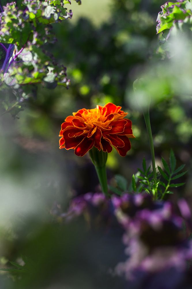 Photograph by Rimma Larkina