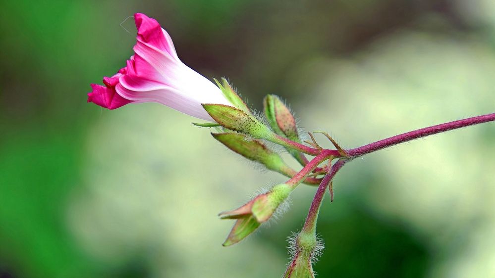 Photograph by Вячеслав