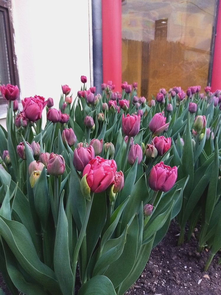 Фотография автора Наталья Визер