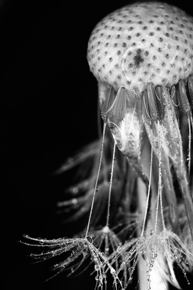 Photograph by Анна Опанасенко