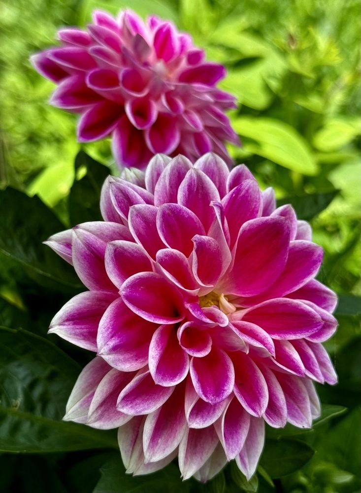 Photograph by Алена Ходатович