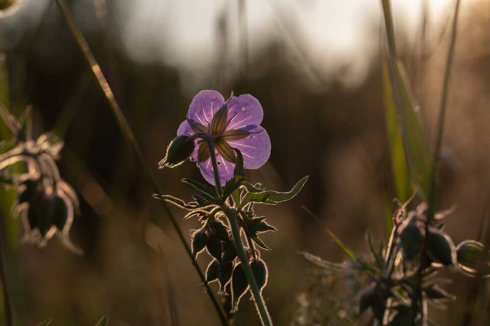 Photograph by Юлия Яковлева