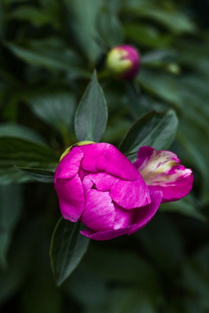 Photograph by Rimma Larkina