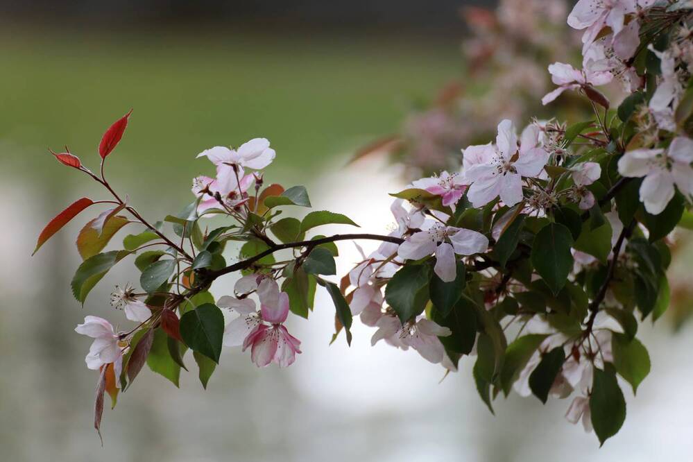 Photograph by Марианна Браун