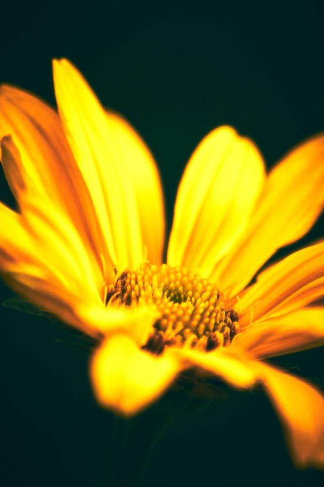 Photograph by Владислав Шешко