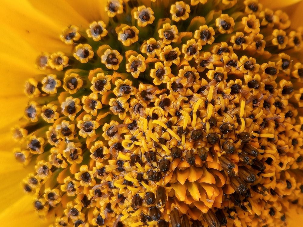 Photograph by Светлана Широкова