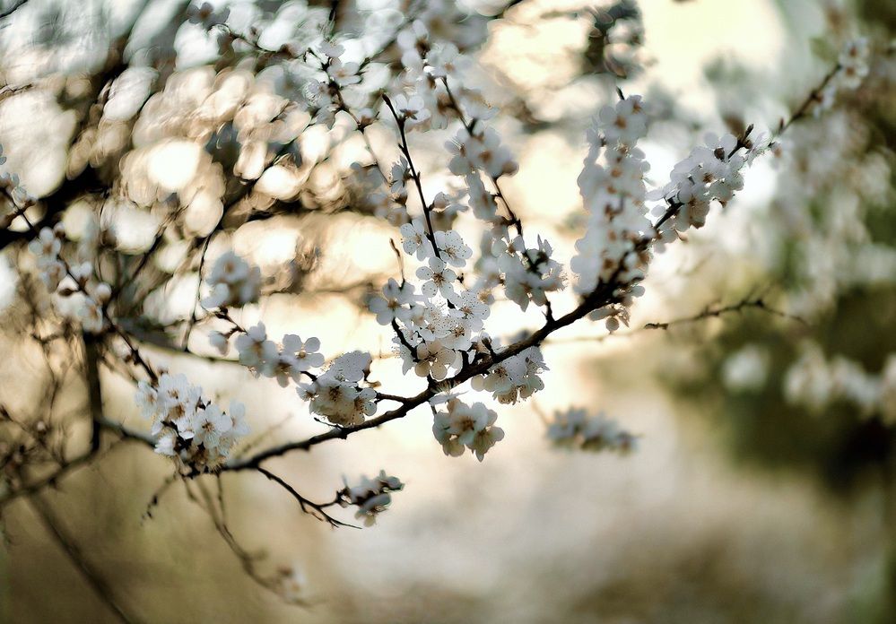 Photograph by Искандар Газизов