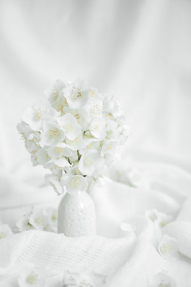 Photograph by Ольга Осинина