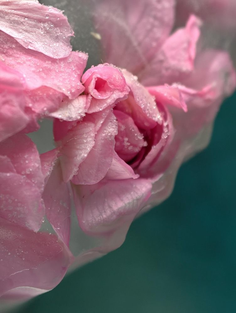 Ice Flower
